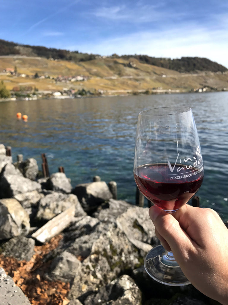 5 Weinverkostungstouren im Herzen von Lavaux