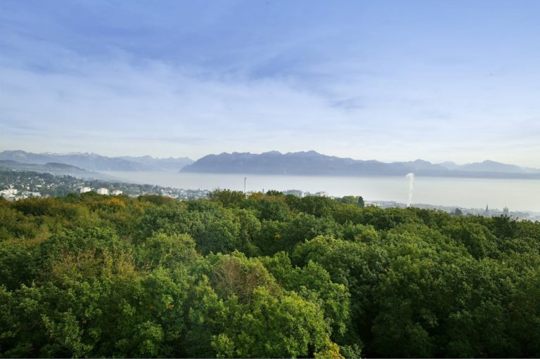 Panorama depuis la Tour de Sauvabelin