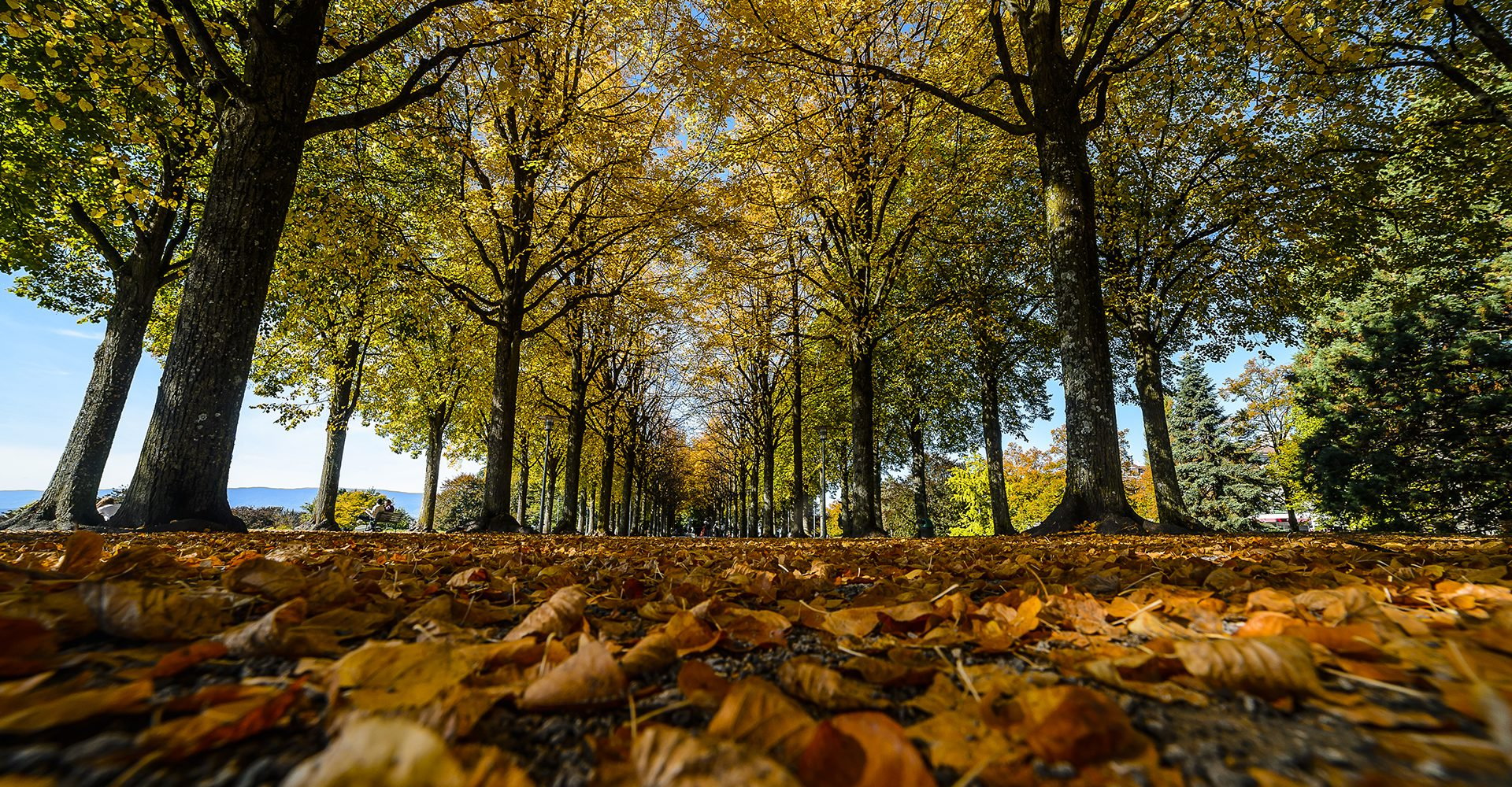 Parc_Valency_automne-1_head-1920x1000