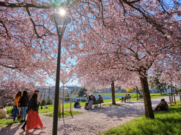 Springtime in Lausanne