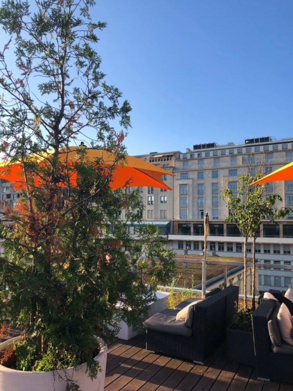 Terrasse du Rhino Féroce au Flon. ©Crisis Visuals