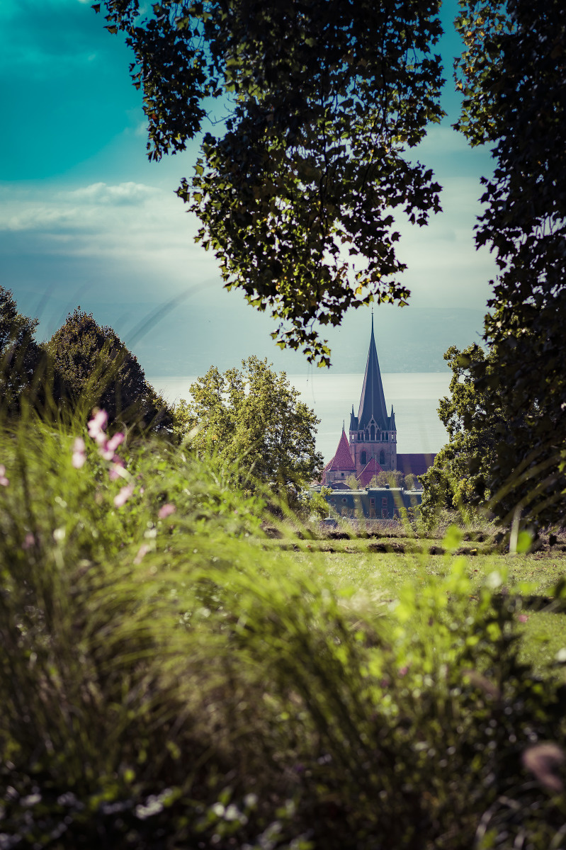 Vue sur la Cathédrale depuis le Parc de l'Hermitage, Lausanne