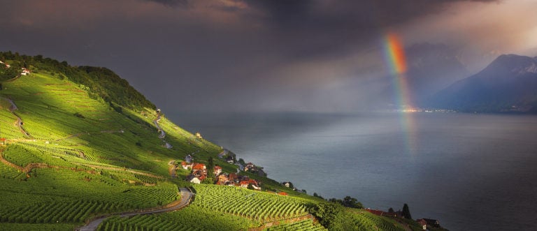 Vue sur le vignoble en Lavaux avec un arc-en-ciel