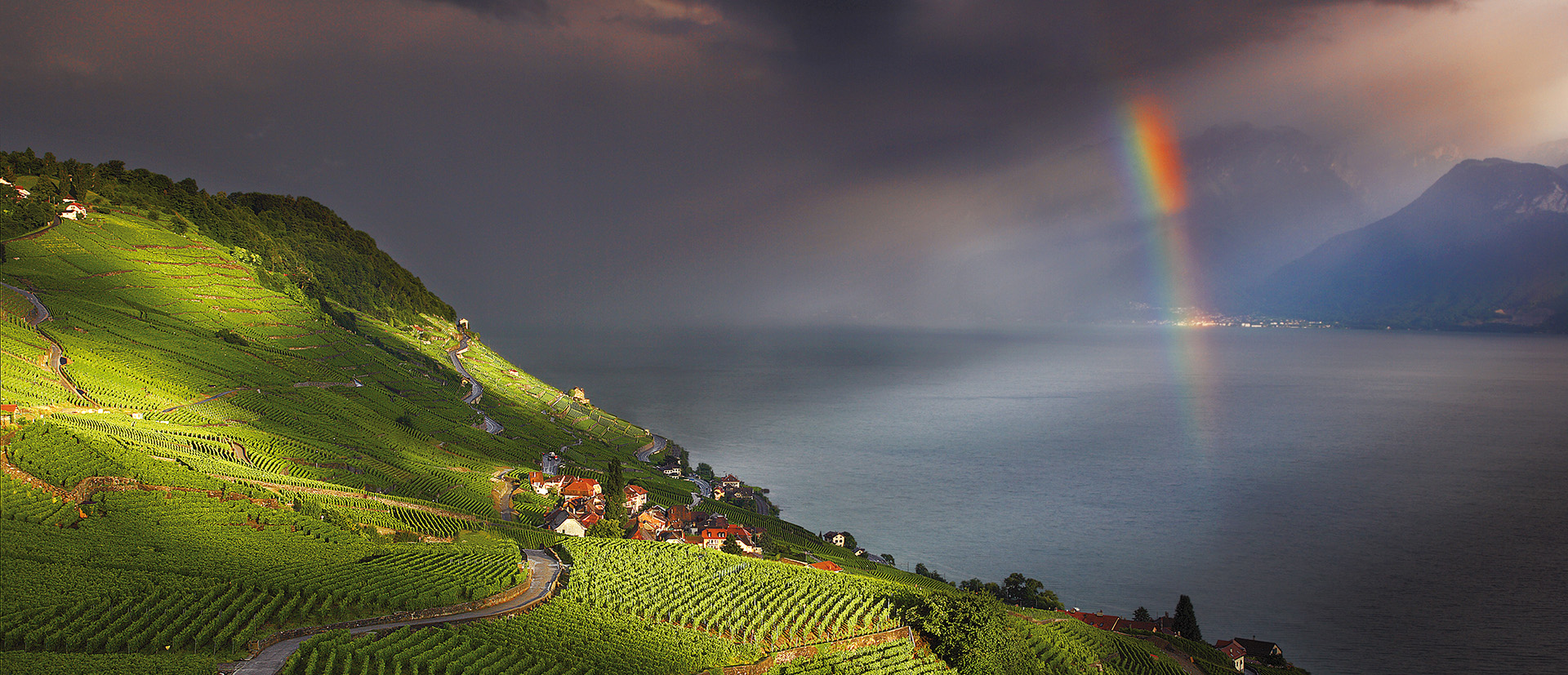 Vue sur le vignoble en Lavaux avec un arc-en-ciel