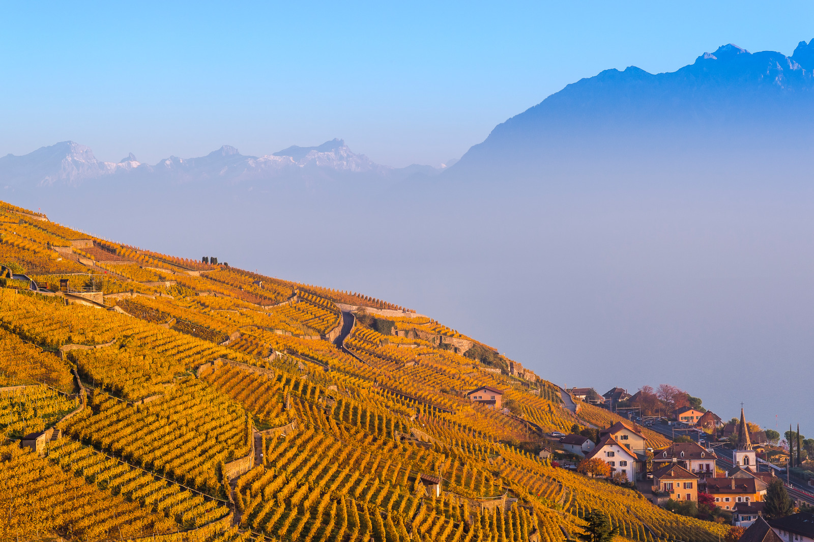 Le vignoble de Lavaux, patrimoine de l'UNESCO