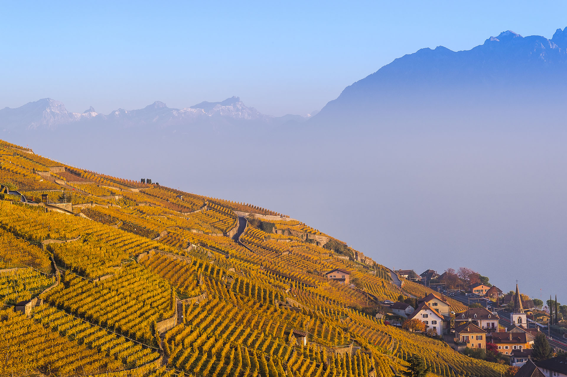 Le vignoble de Lavaux, patrimoine de l'UNESCO