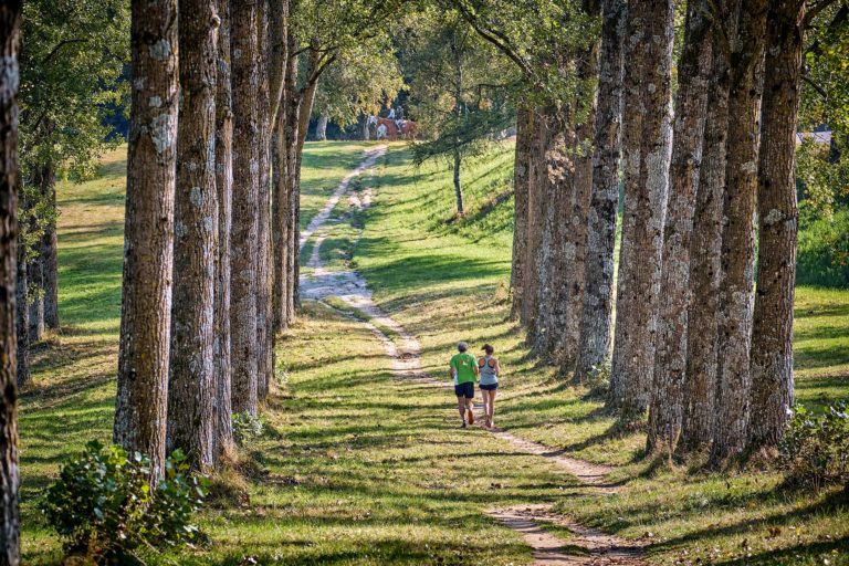 Balade à cheval et jogging dans les bois