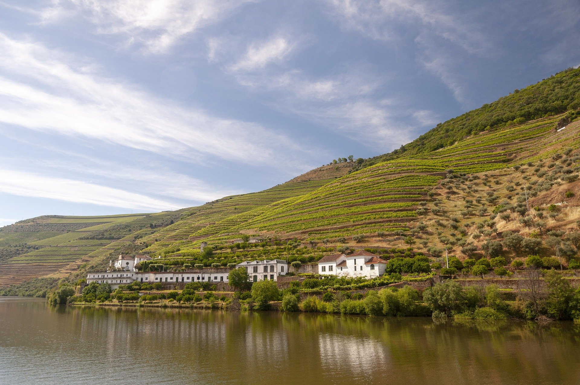 Rio Douro