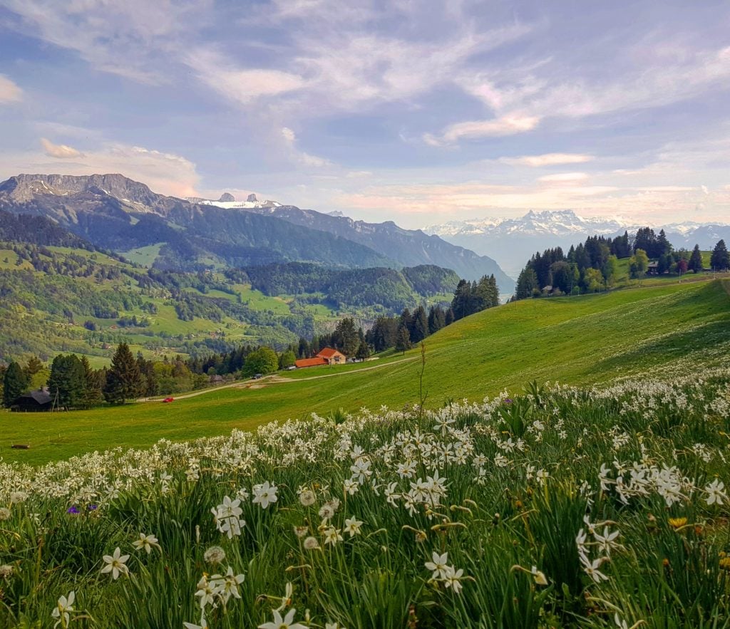 Wanderungen von Lausanne aus