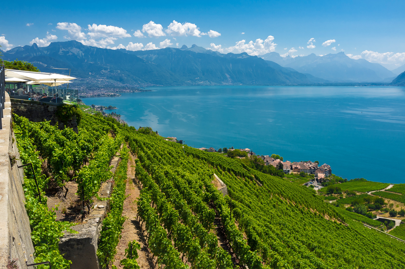 Vue sur la Terrasse du Baron Tavernier à Chexbres, les vignes le lac et les Alpes