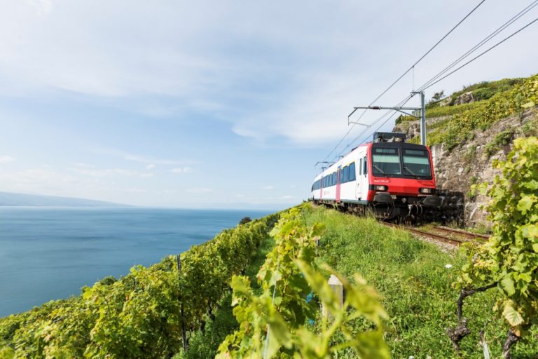 Voyage en train CFF a travers le vignoble en Lavaux