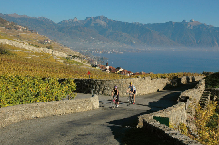 Balade à vélo dans le vignoble de Lavaux