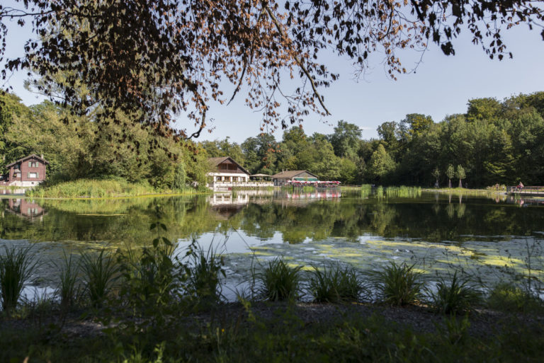 Vue sur la Pinte depuis le lac de Sauvabelin