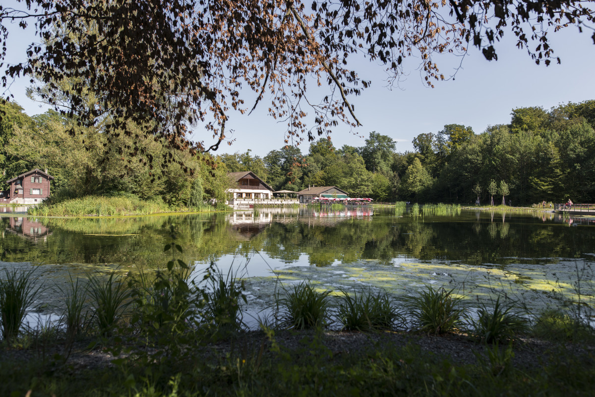 Vue sur la Pinte depuis le lac de Sauvabelin