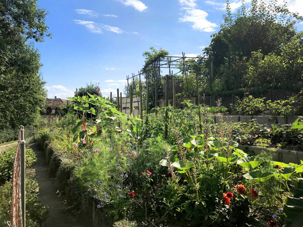 Jardins urbains des lausannois