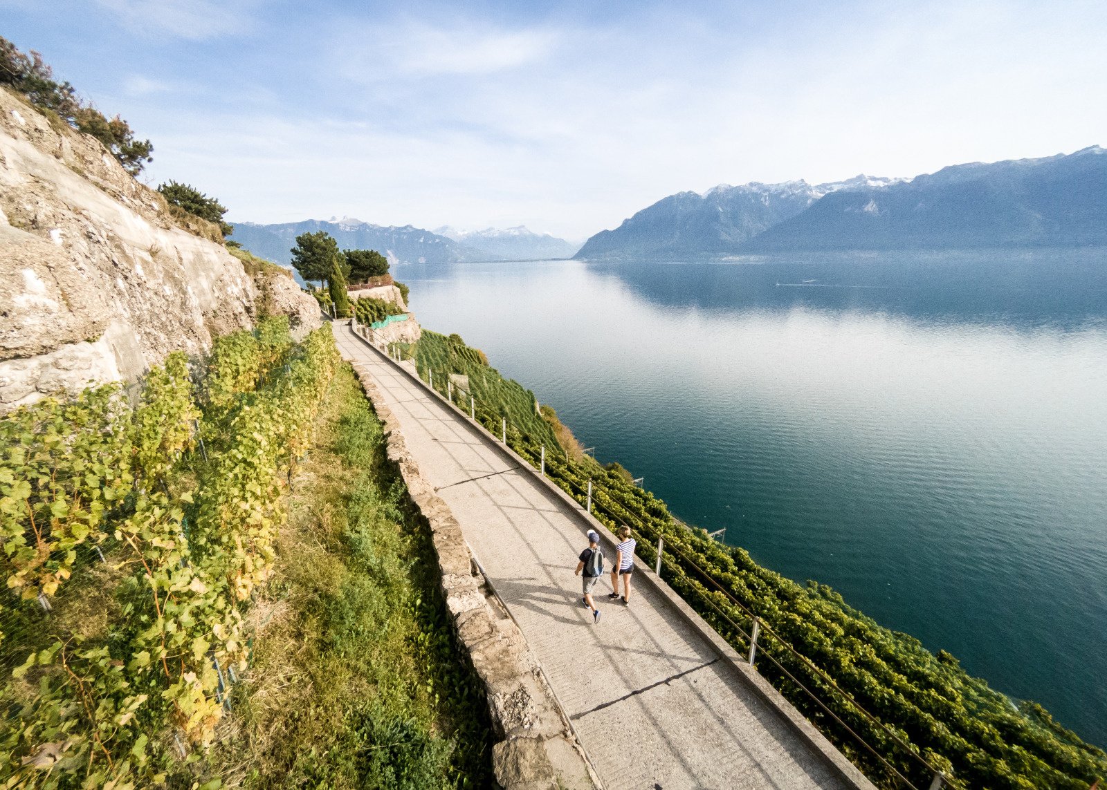 Balade dans le Lavaux avec vue sur le lac Leman Balade dans le Lavaux avec vue sur le lac Leman