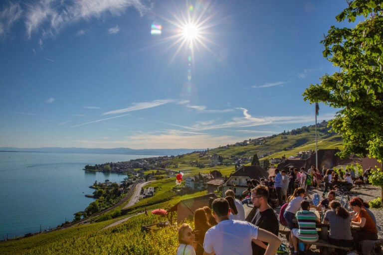 Caves Ouvertes Vaudoises 2019. Degustation de vin avec vue sur le vignoble et le lac Caves Ouvertes Vaudoises 2019. Degustation de vin avec vue sur le vignoble et le lac