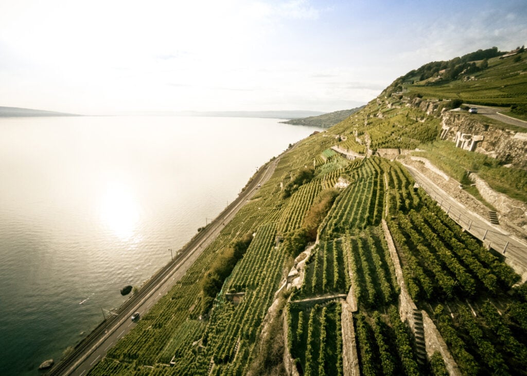Enchanting Lavaux
