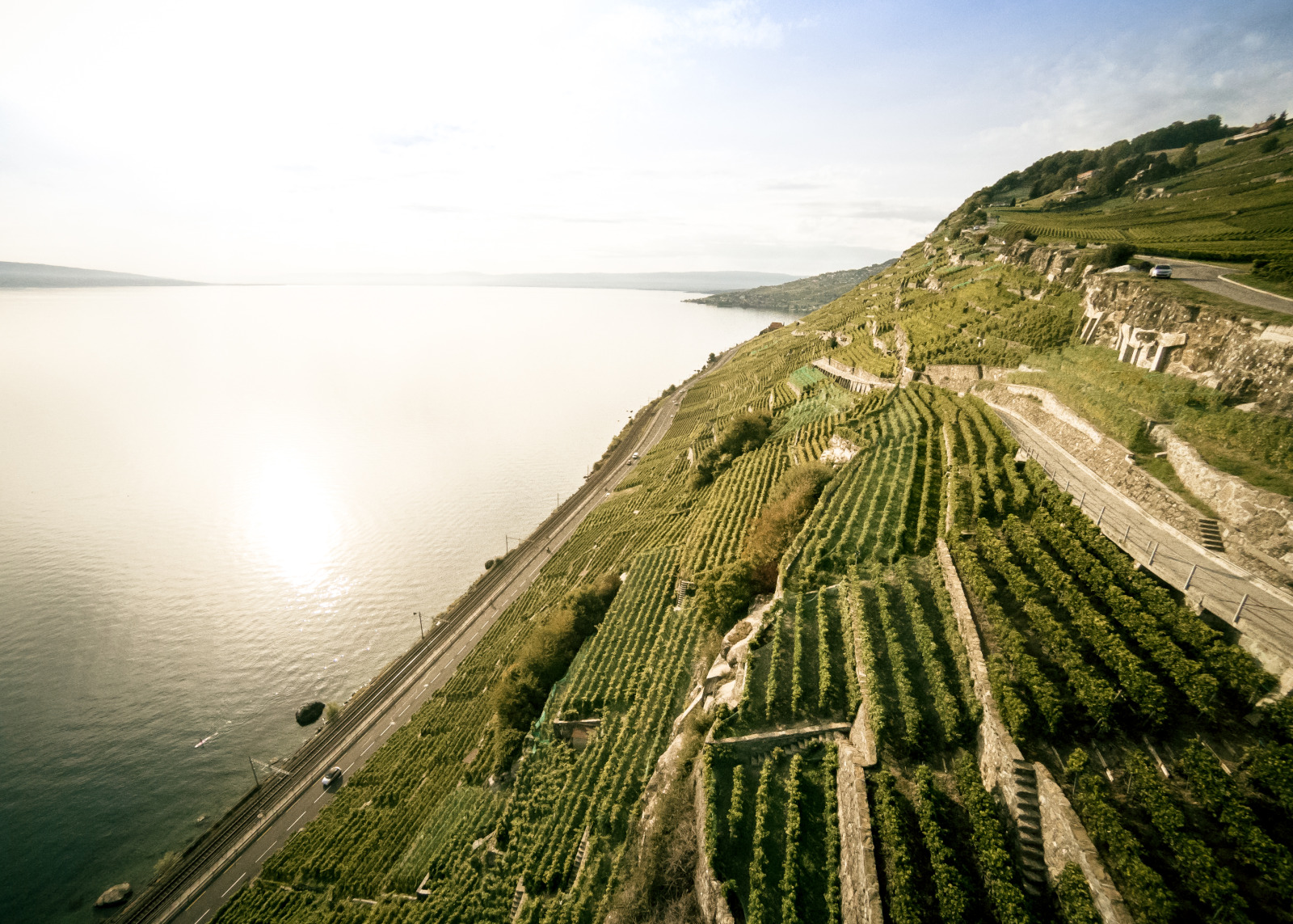 Vue sur le Lavaux la vigne et le lac Leman