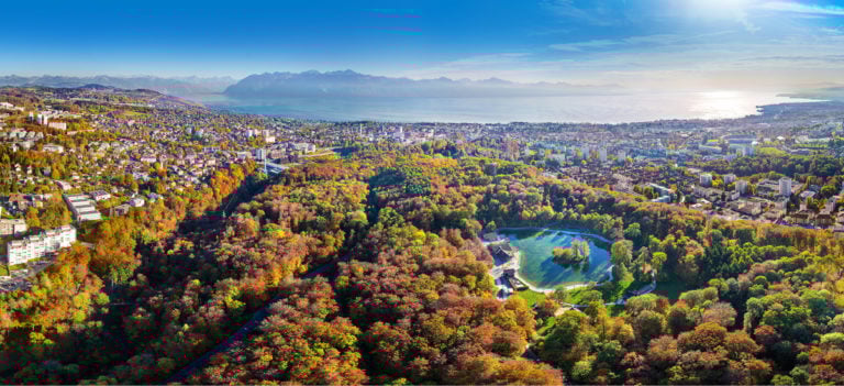 Vue panoramique sur la foret de Sauvabelin et le paysage epoustouflant de notre region lemanique