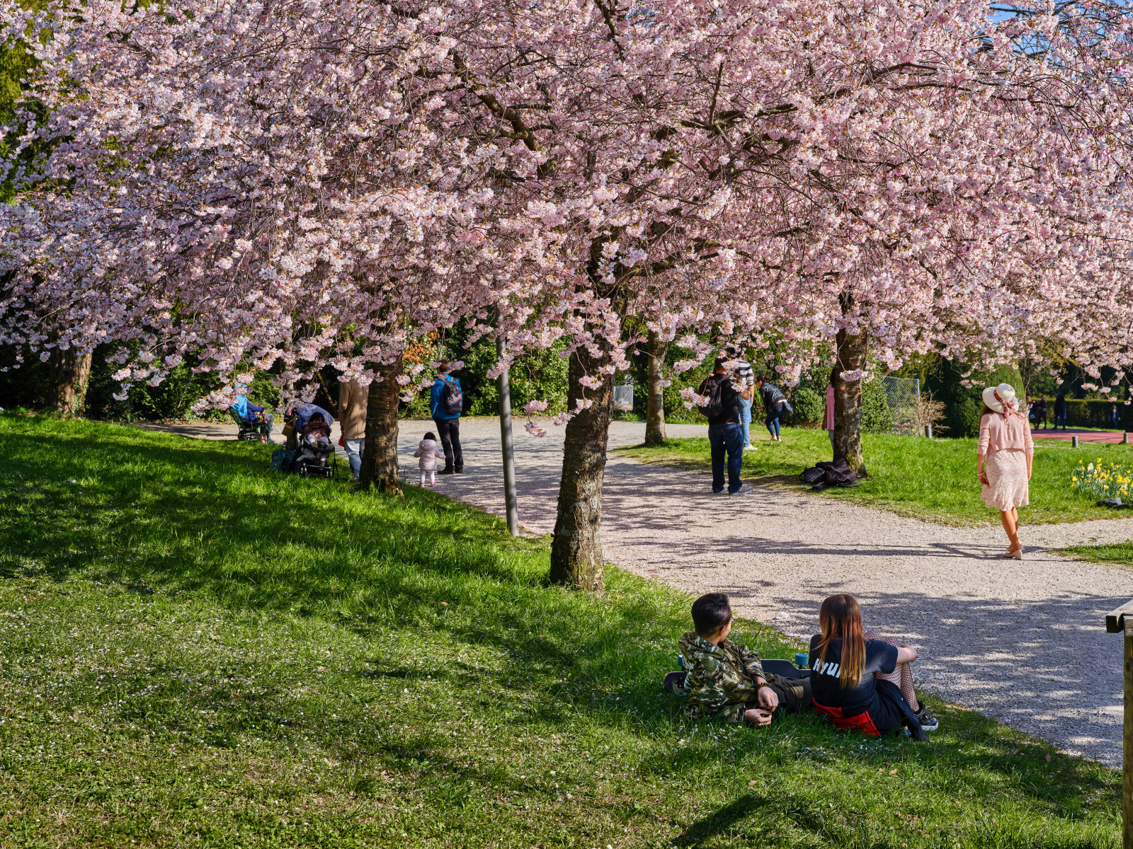 Journee de printemps dans les parc lausannois