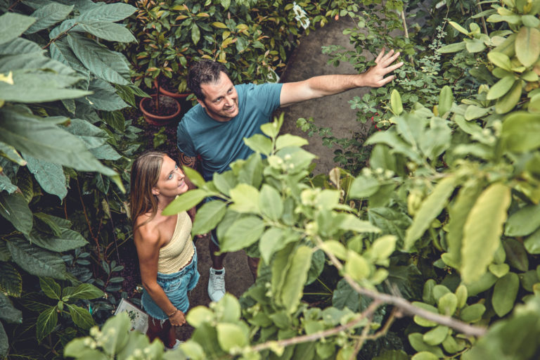 Jardins botaniques visite