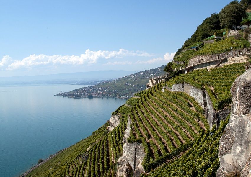 Lausanne a accueilli pour la première fois la rencontre annuelle du réseau international Great Wine Capitals