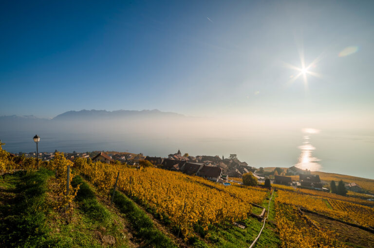 Lausanne will host the annual meeting of Great Wine Capitals