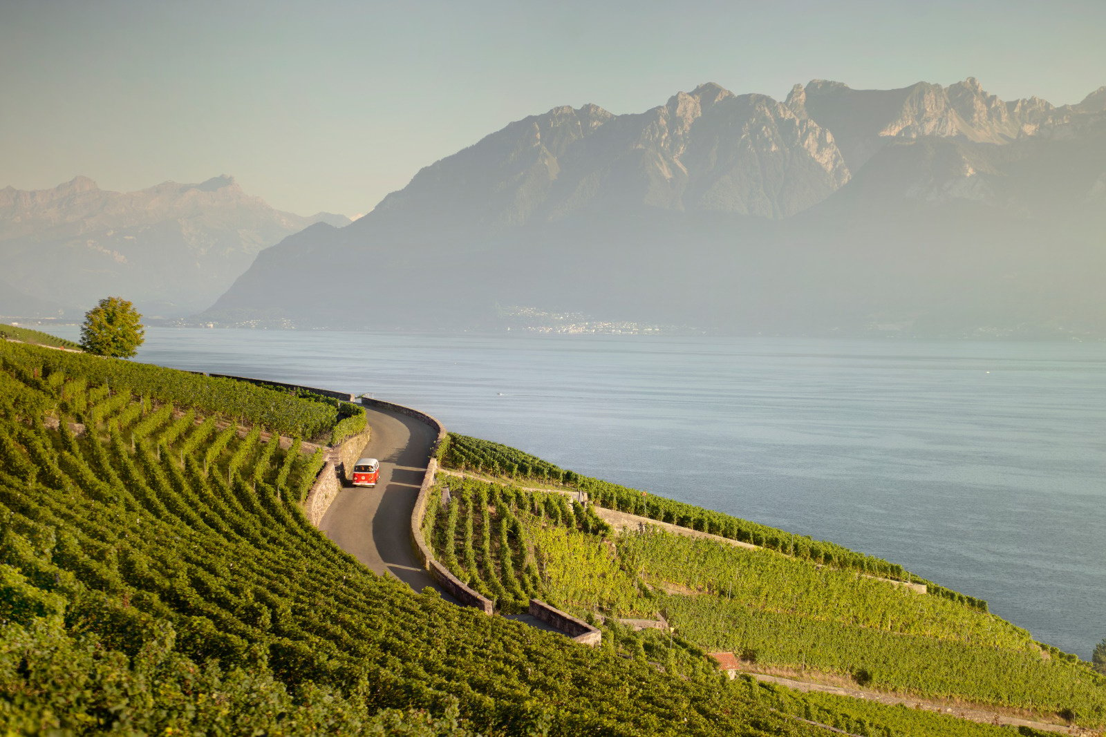 Le bus vintage dans les vignes en Lavaux