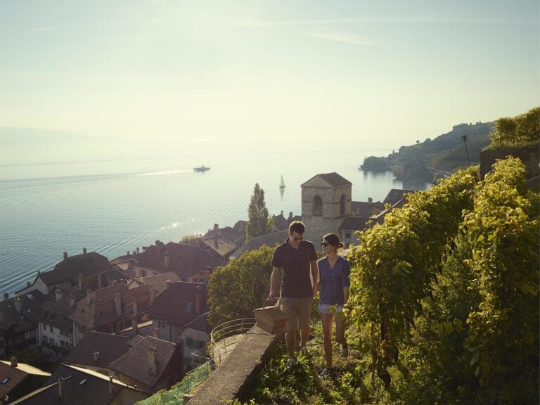 Balade dans les vignes de Lavaux avec vur sur le lac