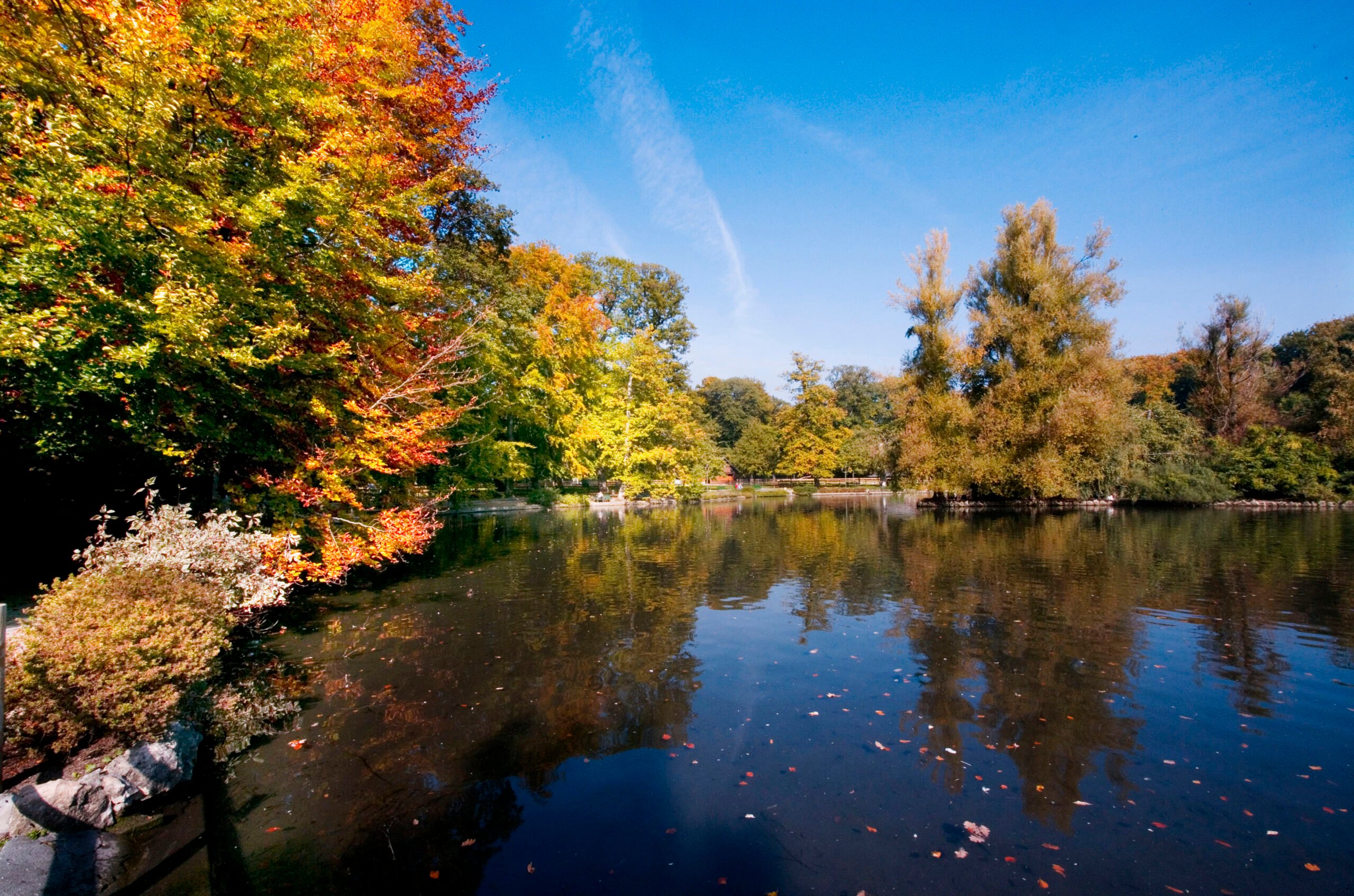 Le Lac de Sauvabelin dans son ecrin de verdure Le Lac de Sauvabelin dans son ecrin de verdure