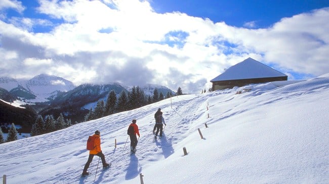 Nos 5 activités hivernales préférées non loin de Lausanne