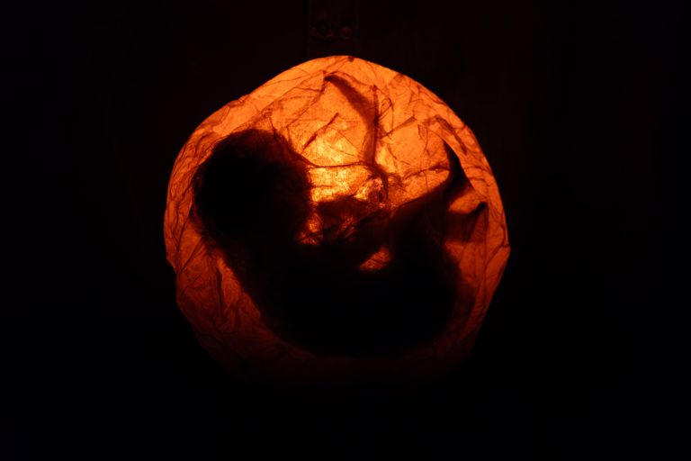 Daniela Markovic, Héritage, 2026 &copy; Musée Artistes Femmes